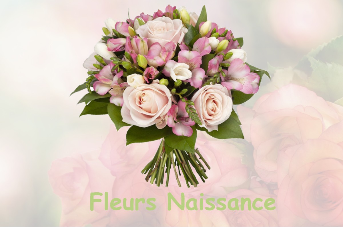 fleurs naissance SAINT-VICTORET